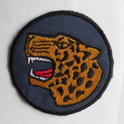 SAP South Africa Police Unknown Riot Unit patch BLUE