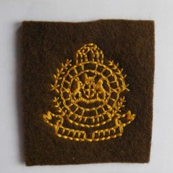 SAP South Africa Railways Police Field Dress cap badge BROWN