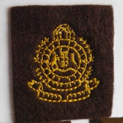 SAP South Africa Railways Police Field Dress cap badge BROWN