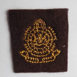 SAP South Africa Railways Police Field Dress cap badge BROWN/GREEN