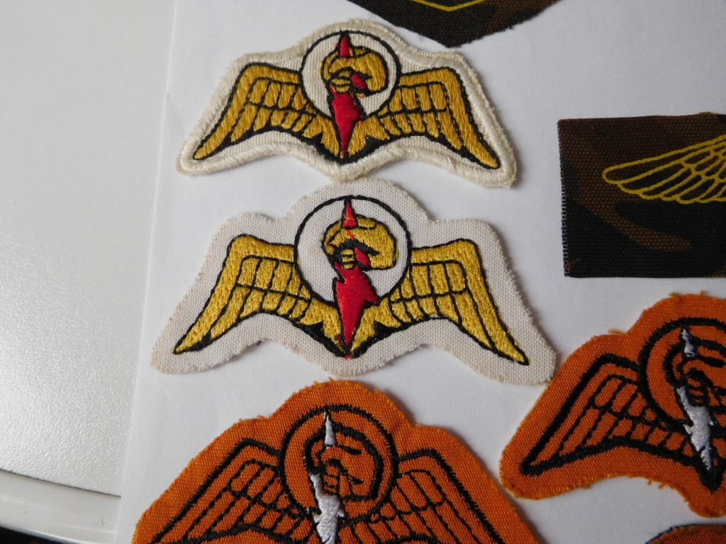 SAP South Africa Railways Police Special Task Force Para Wing First Issue WHITE (thin line)