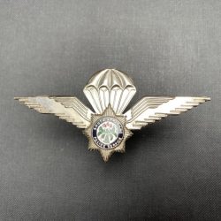 SOUTH AFRICA POLICE AIRBORNE PARACHUTE SWAT SAP PARA WING Task Force steel Silver