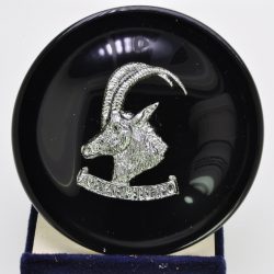 Rhodesia Armoured Car Regiment Cap Badge Resin plaque