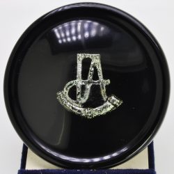 Rhodesia Internal Affairs Cap Badge Resin plaque