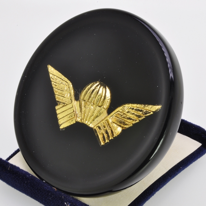 Rhodesia Selous Scouts Wing Cap Badge Special Forces Resin plaque