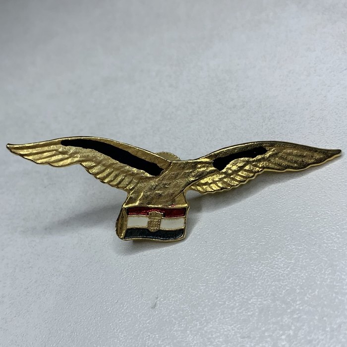 Croatia Army Croatian Air Force Wartime Eagle Badge Wing Homeland war military 1