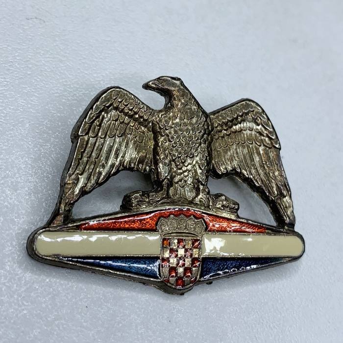 Croatia Army Croatian Air Force Wartime Eagle Badge Wing Homeland war military 10
