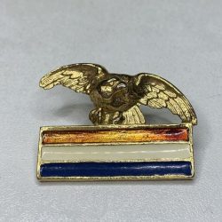 Croatia Army Croatian Air Force Wartime Eagle Badge Wing Homeland war military 11