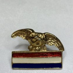 Croatia Army Croatian Air Force Wartime Eagle Badge Wing Homeland war military 12
