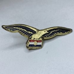 Croatia Army Croatian Air Force Wartime Eagle Badge Wing Homeland war military 3