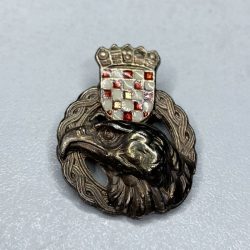 Croatia Air Force Homeland War Pilot Badge Yugoslavia Slovenia Bosnia MiG-21 #3