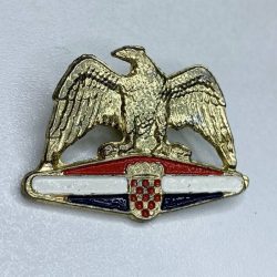 Croatia Army Croatian Air Force Wartime Eagle Badge Wing Homeland war military 9