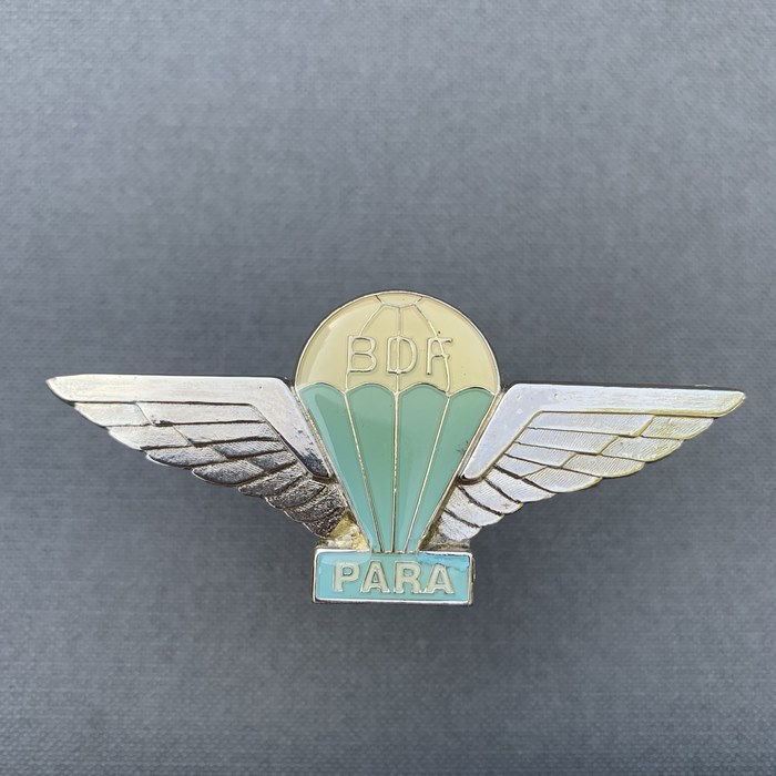 BDF Botswana Defence Force Para Wing Badge BASIC