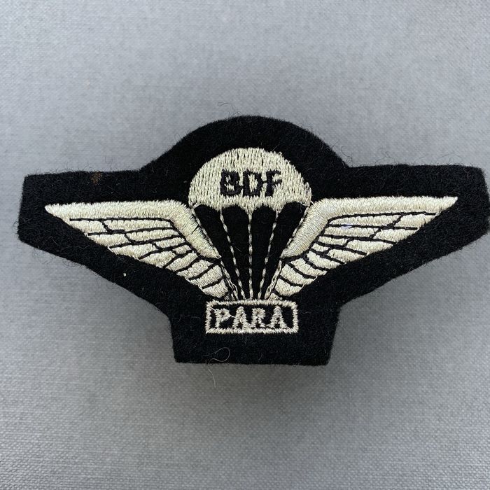 BDF Botswana Defence Force Para Wing Embroidered  Badge 1