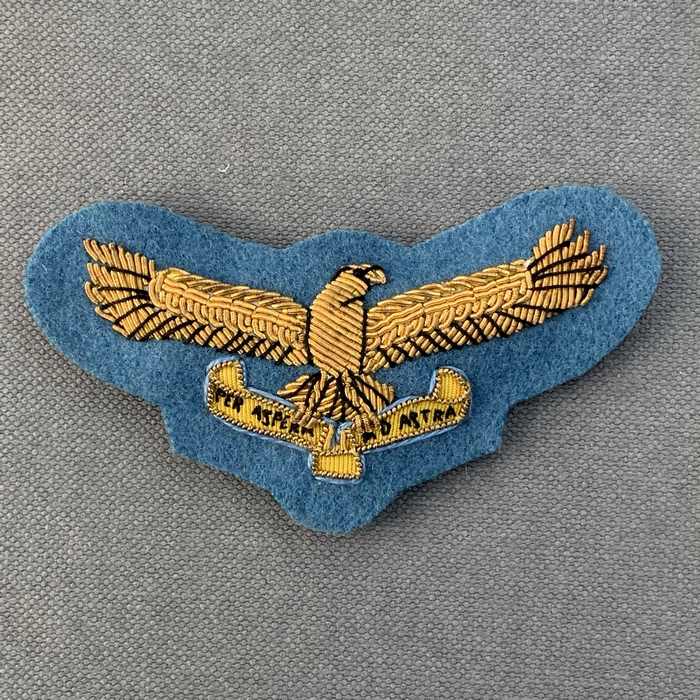 SAAF South Africa Airforce Colonel and Brigadiers Wing Cap badge insignia 1959