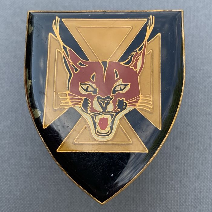 SADF 7 SA South Africa Infantry Battalion Enamel Flash Badge