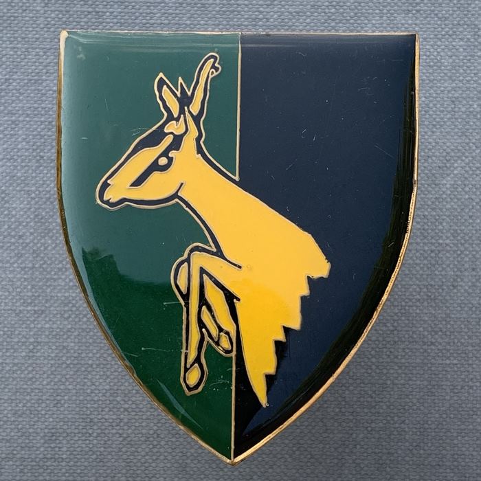 SADF Africa 115 SAI Battalion Motorised Infantry KwaNdebele Flash Badge