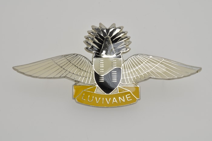 SWAZILAND Africa FREE FALL INSTRUCTOR PARACHUTE WING Steel Enamel Badge