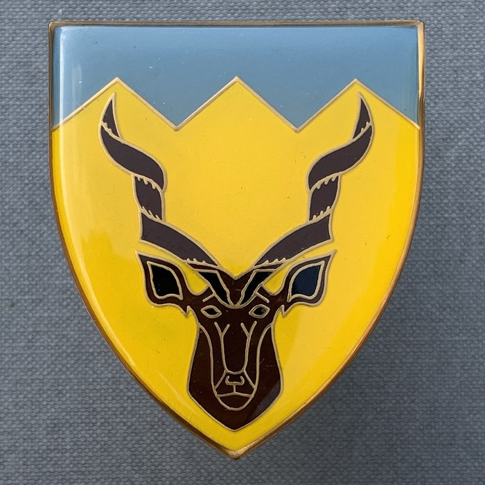 SADF South Africa COMMANDO KUDUSRAND Light Infantry Battalion ARMY Enamel Flash Badge