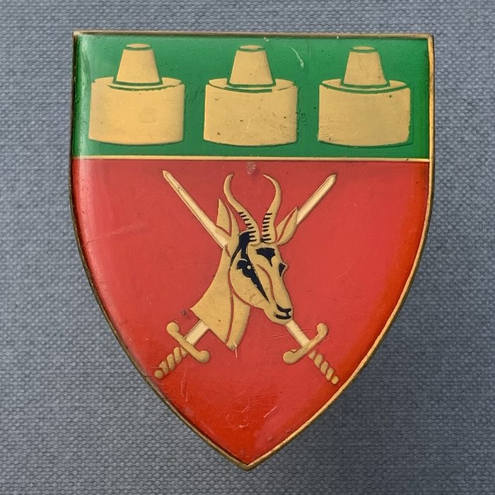 SADF South Africa Defence Force Witwatersrand ARMY Enamel Flash badge