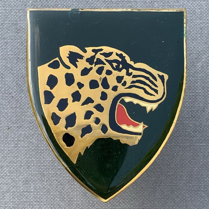 South Africa ARMY Infantry MIDLAND Commando Enamel Flash Badge