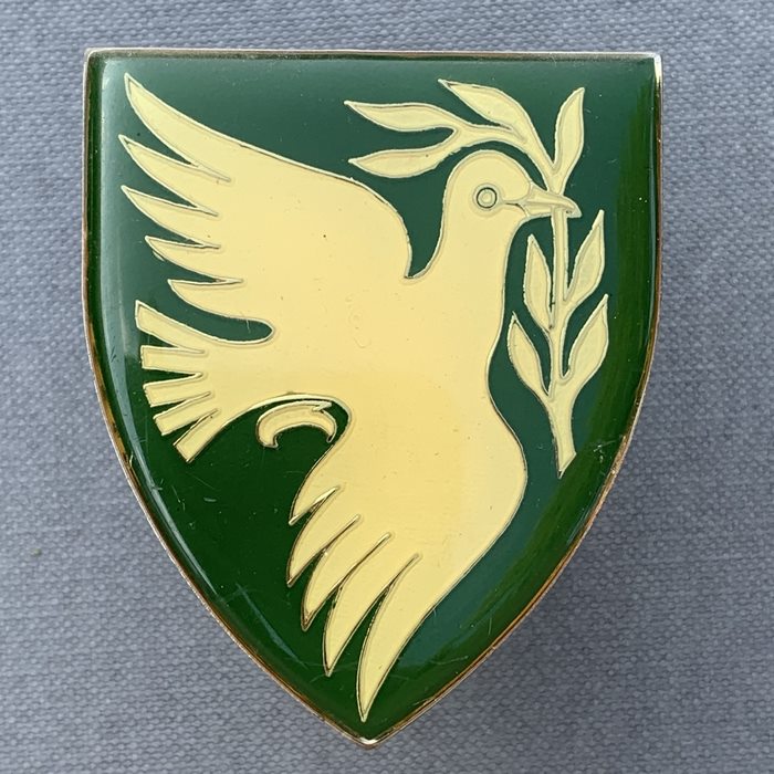 Vrede Commando Light Infantery Regiment South Africa Army Flash Badge