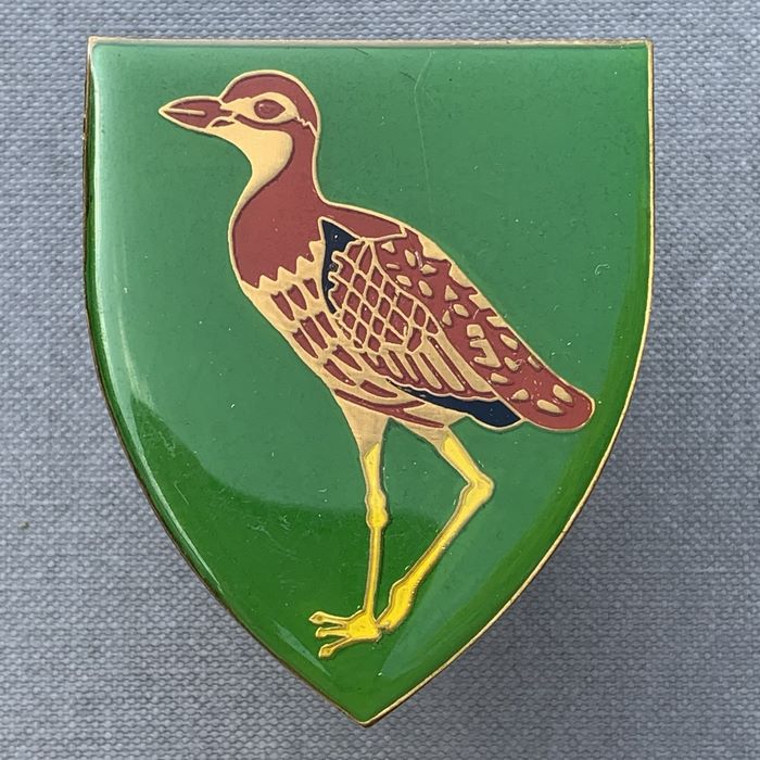 Bultfontein Commando Light Infantery Regiment South Africa Army Flash Badge