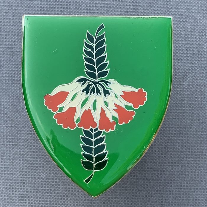 Caledon Commando South Africa Army Flash Badge