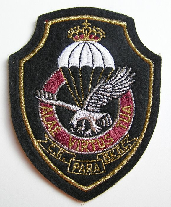 Belgium Belgique PARA Commando Training Patch Badge 1