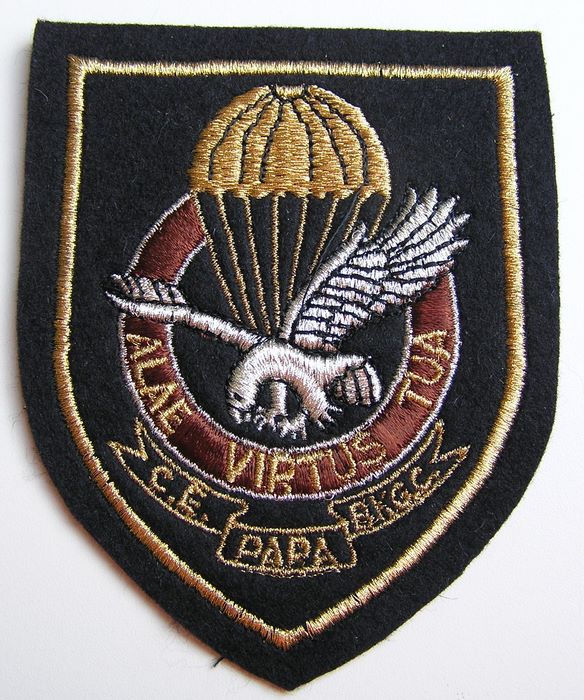 Belgium Belgique PARA Commando Training Patch Badge 2