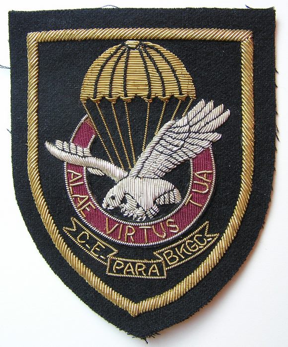 Commando Archives - Militarybadges.nl