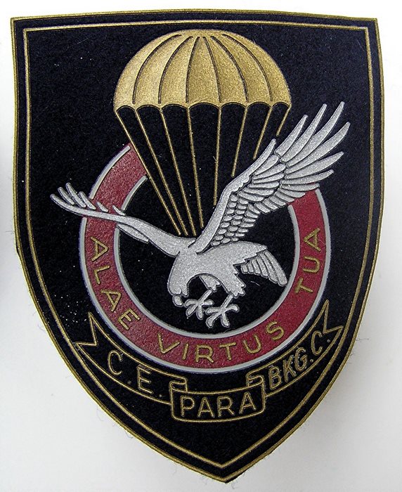 Belgium-Belgique-PARA-Commando-Training-Patch-Badge-4