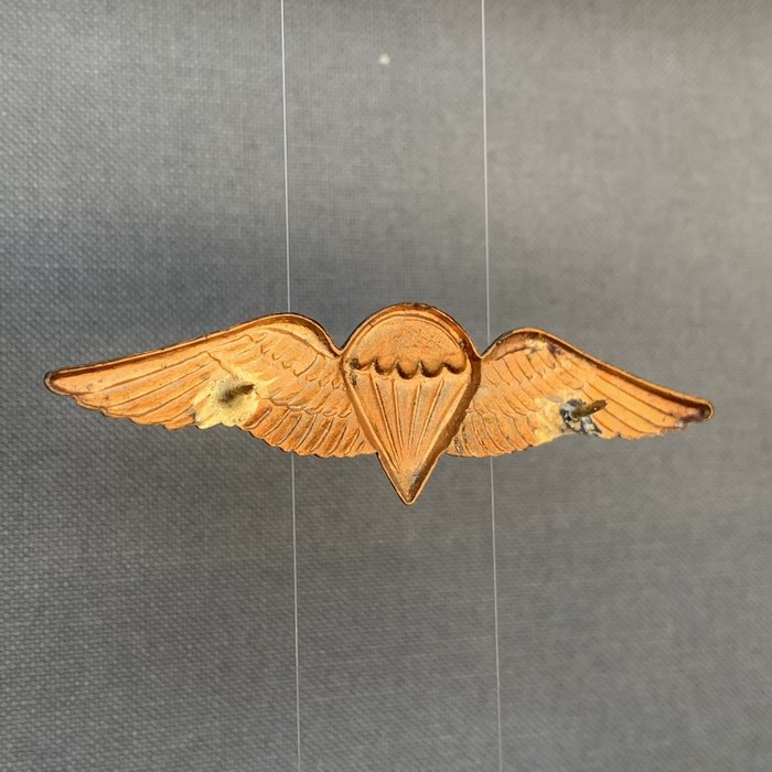 South Africa Para troops Parachute Jump Wing Badge 1968 - 1970a