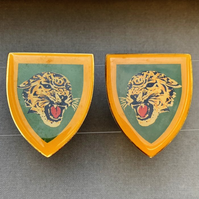 Africa Ilght Infantry Regiment Tygerberg Commando ARMY Badges Flashes