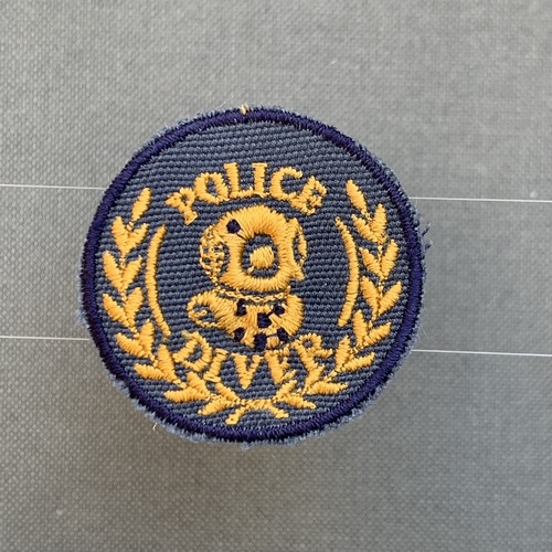 SAP South African Police Diver Instructors badge BLUE