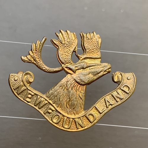 Canada WW1 BEF New Foundland Regiment Gilding Badge
