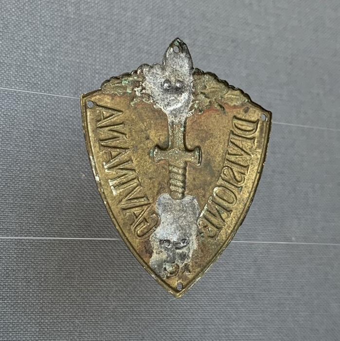 Italy 19TH GAVINANA Infantry Division East Africa Arm Shield Badge
