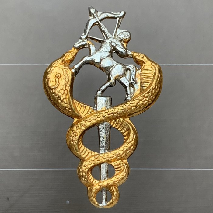 South African Military Health Service Farrier Badge