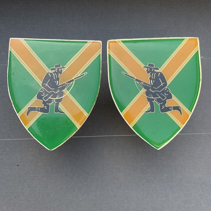 South Africa SADF Danie Theron Combat School arm flash Enamel Flashes pair set