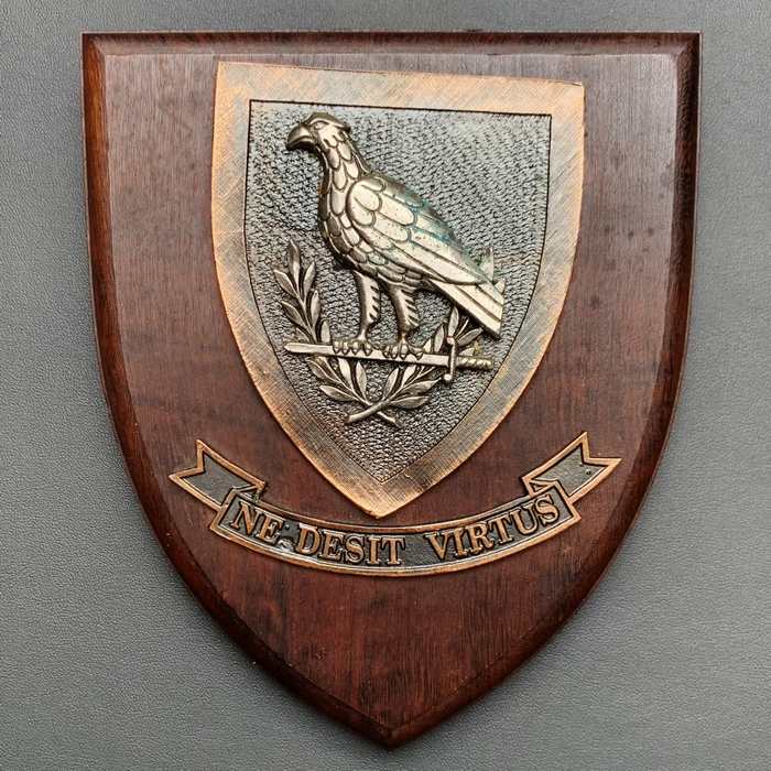 11 Squadron SAAF WWII Squadron South African Air Force Wooden Shield Plaque Badge