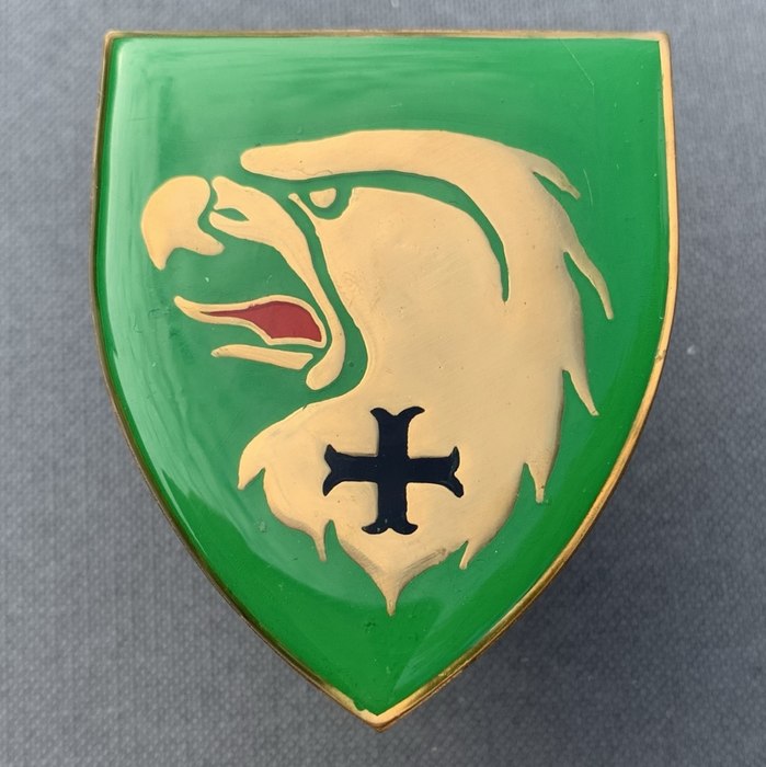 South African ARMY Light Infantry Regiment MOOT COMMANDO enamel Flash badge