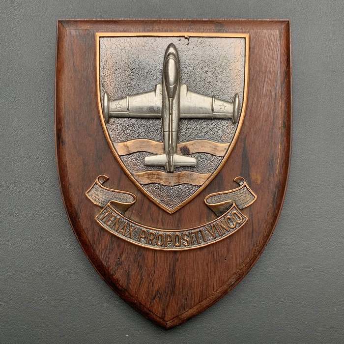 SAAF South African Airforce 85 Combat Flying Training School Aermacchi MB-326 Wooden Shield Plaque