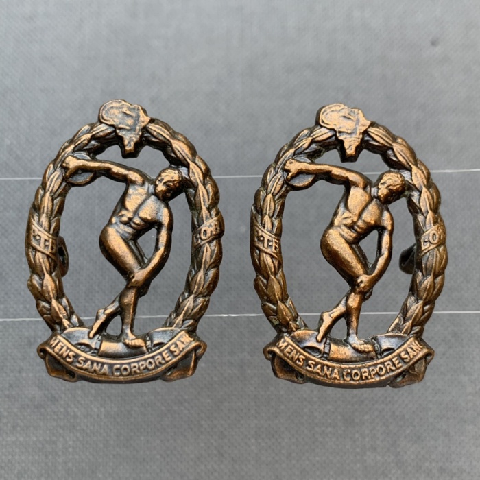 South Africa African SA Physical Training brigade Collar Badges Bronzed