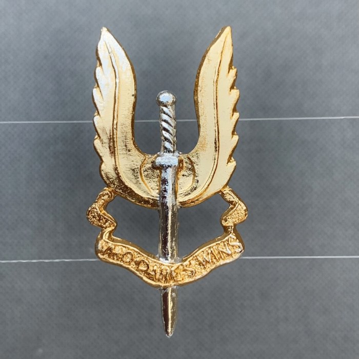 Rhodesian Rhodesia C Squadron SAS Special Air Service Beret Badge 1961-1980