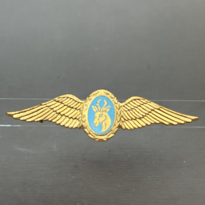 South African Army Air Reconnaissance Pilot wing Badge