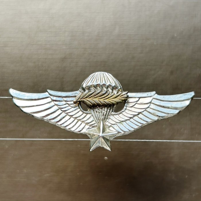 Vietnam PARA Master Jump Wing Paratrooper PIN Badge
