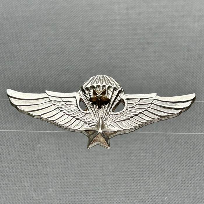 Vietnam PARA Senior Jump Wing Paratrooper PIN Badge
