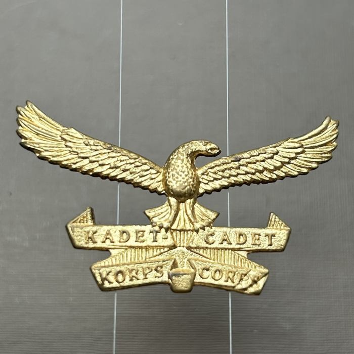 South African Air force SAAF Cadet Corps Beret Badge
