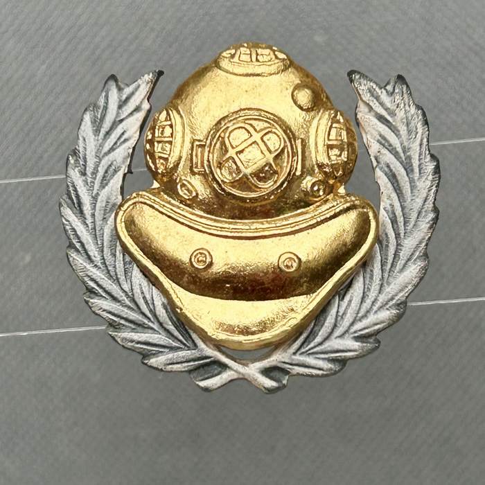 SA South Africa Navy Naval Diver and RECCE Office dress badge