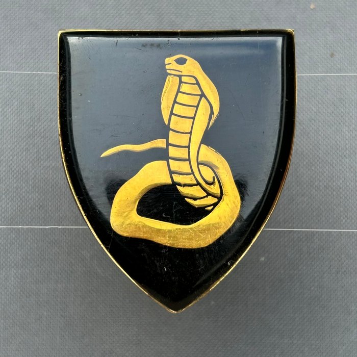 SADF SA South Africa Commando Cape Flats COBRA Snake Flash Badge